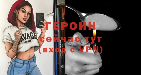 МДПВ Пересвет