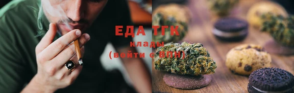 МДПВ Пересвет
