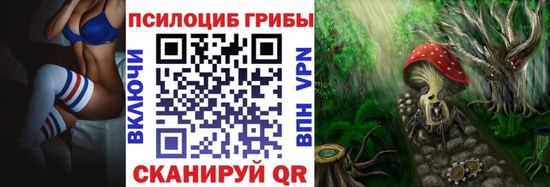 Псилоцибиновые грибы мицелий  где купить наркотик  гидра как зайти  Топки 